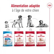 ROYAL CANIN Croquettes Medium Adult 7+