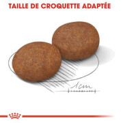 Croquettes Medium Adult 7+