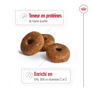 ROYAL CANIN Croquettes Medium Ageing 10+
