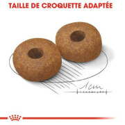 Croquettes Medium Ageing 10+