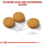 Croquettes Medium Dermacomfort