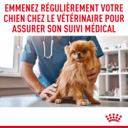 ROYAL CANIN Croquettes Medium Light