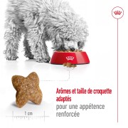 ROYAL CANIN Mini Adult, croquettes