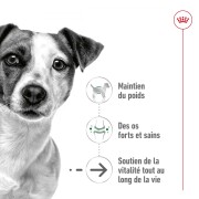 ROYAL CANIN Croquettes Mini Ageing +12