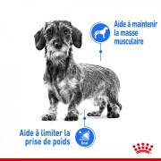 ROYAL CANIN Croquettes Mini Light Weight Care