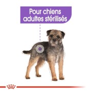 ROYAL CANIN Mini adult stérilised