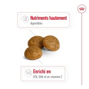ROYAL CANIN Croquettes X-Small Adult