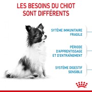 ROYAL CANIN Croquettes X-Small Puppy