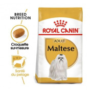 Royal Canin Croquettes Bichon Maltais Adult