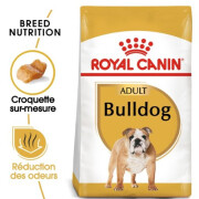 Royal Canin Croquettes Bouledogue Anglais Adult