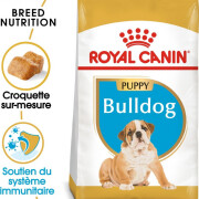 Royal Canin Croquettes Bouledogue Anglais puppy