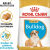 Royal Canin Croquettes Bouledogue Anglais puppy