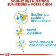 Royal Canin Croquettes Bouledogue Anglais puppy