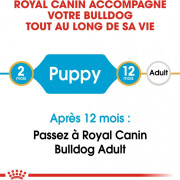 Royal Canin Croquettes Bouledogue Anglais puppy