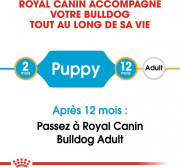 Royal Canin Croquettes Bouledogue Anglais puppy