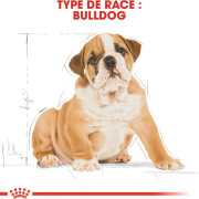 Royal Canin Croquettes Bouledogue Anglais puppy