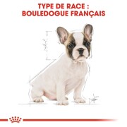 ROYAL CANIN Croquettes Bouledogue Français puppy