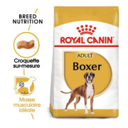 Royal Canin Croquettes Boxer Adult
