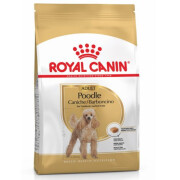 Croquettes Caniche Adult