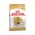 ROYAL CANIN Croquettes Carlin Adult