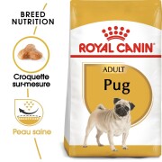 ROYAL CANIN Croquettes Carlin Adult