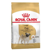 Royal Canin Croquettes Carlin Adult