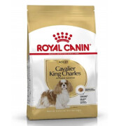 Croquettes Cavalier King Charles mini Adult