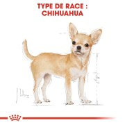 Royal Canin Chihuahua Adult – Croquettes pour Chihuahua dès 8 mois