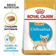 ROYAL CANIN Croquettes Chihuahua puppy
