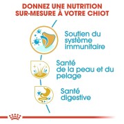 ROYAL CANIN Croquettes Cocker puppy