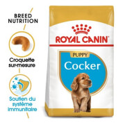Royal Canin Croquettes Cocker puppy
