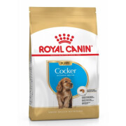 Royal Canin Croquettes Cocker puppy