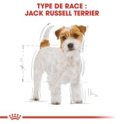 ROYAL CANIN Croquettes Jack Russell Terrier Adult