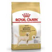 Royal Canin Croquettes Labrador Retriever Adult