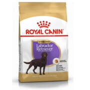 Royal Canin Croquettes Labrador Retriever Sterilised