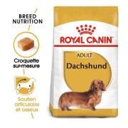 Royal Canin Croquettes Teckel Adult