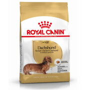 Royal Canin Croquettes Teckel Adult