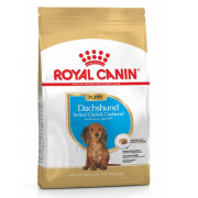 Royal Canin Croquettes Teckel puppy