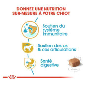 Royal Canin Croquettes Teckel puppy