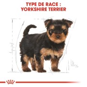 ROYAL CANIN Croquettes Yorkshire Terrier puppy