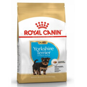 Croquettes Yorkshire Terrier puppy