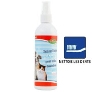 Spray dentifrice chat  et chien 