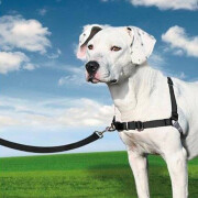 Harnais anti traction Easy Walk noir