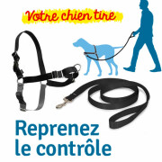 Harnais anti traction Easy Walk noir