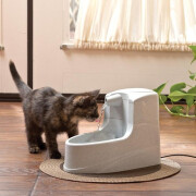 Fontaine à eau Drinkwell Mini 1,2 L