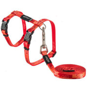 Harnais et laisse KiddyCat chat et chaton  orange