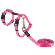 Pack KiddyCat chaton laisse + harnais rose pour chat