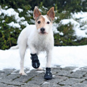 Chaussures Walker Active nylon, bottine protection neige, blessures,