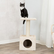 Petit Arbre à chat et chaton Zamora beige