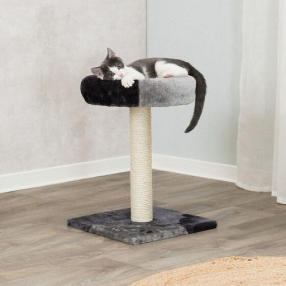 poste-rascador-para-gatos-tarifa-trixie.jpg